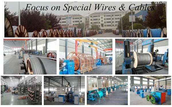 product-600-374 product-600-374