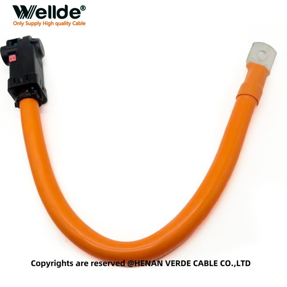 25 Mm² High Voltage EV Storage Cable factory